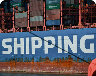 At varius vel pharetra vel turpis nunc ultrices dui sapien eget mi #6